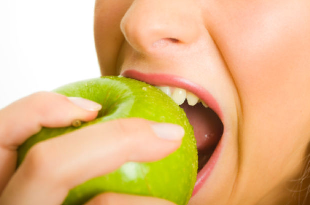 iStock_000011604786XSmall.jpg